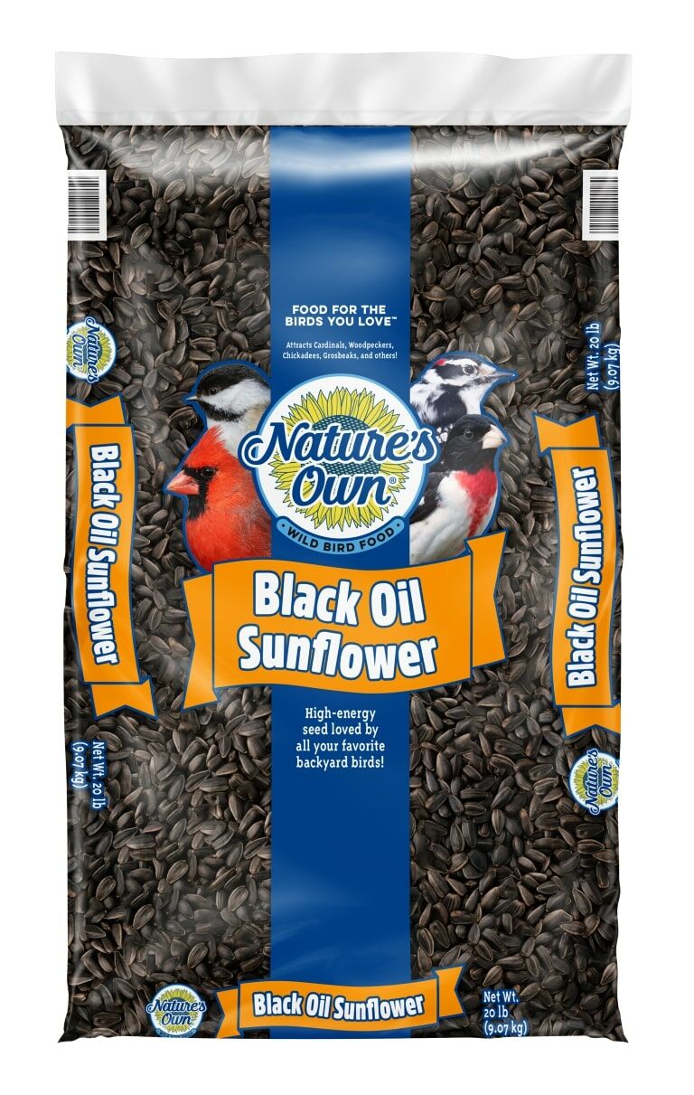 Nature's Own Black Oil Sunflower Bird Seed, 20 - Lb