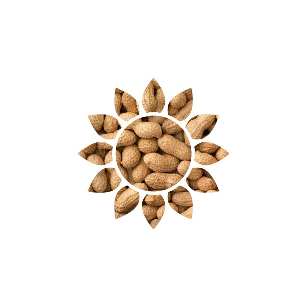 Nature's Own In-Shell Peanuts Bird Seed, 4-Lb