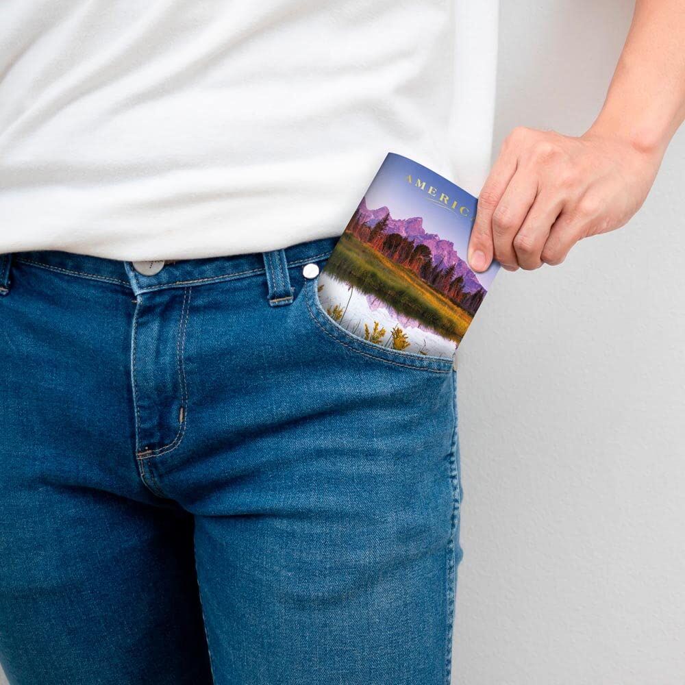 Brown Trout Publisher 2024-2025 America Monthly Pocket Planner Calendar, 3.5-In x 6.5-In