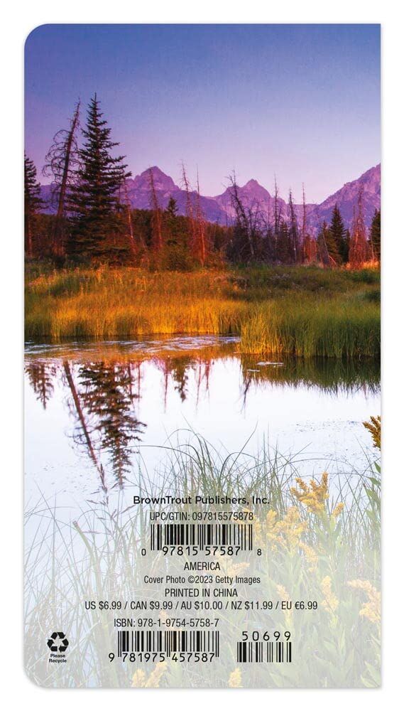 Brown Trout Publisher 2024-2025 America Monthly Pocket Planner Calendar, 3.5-In x 6.5-In
