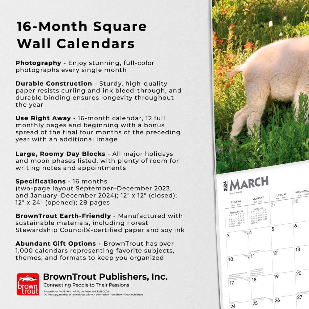 Brown Trout Publisher 2024 Baby Goats Monthly Square Wall Calendar, 12-In x 24-In