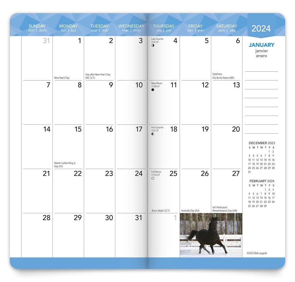 Brown Trout Publisher 2024-2025 Horse Lovers Monthly Pocket Planner Calendar, 3.5-In x 6.5-In