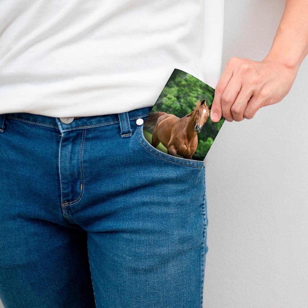 Brown Trout Publisher 2024-2025 Horse Lovers Monthly Pocket Planner Calendar, 3.5-In x 6.5-In