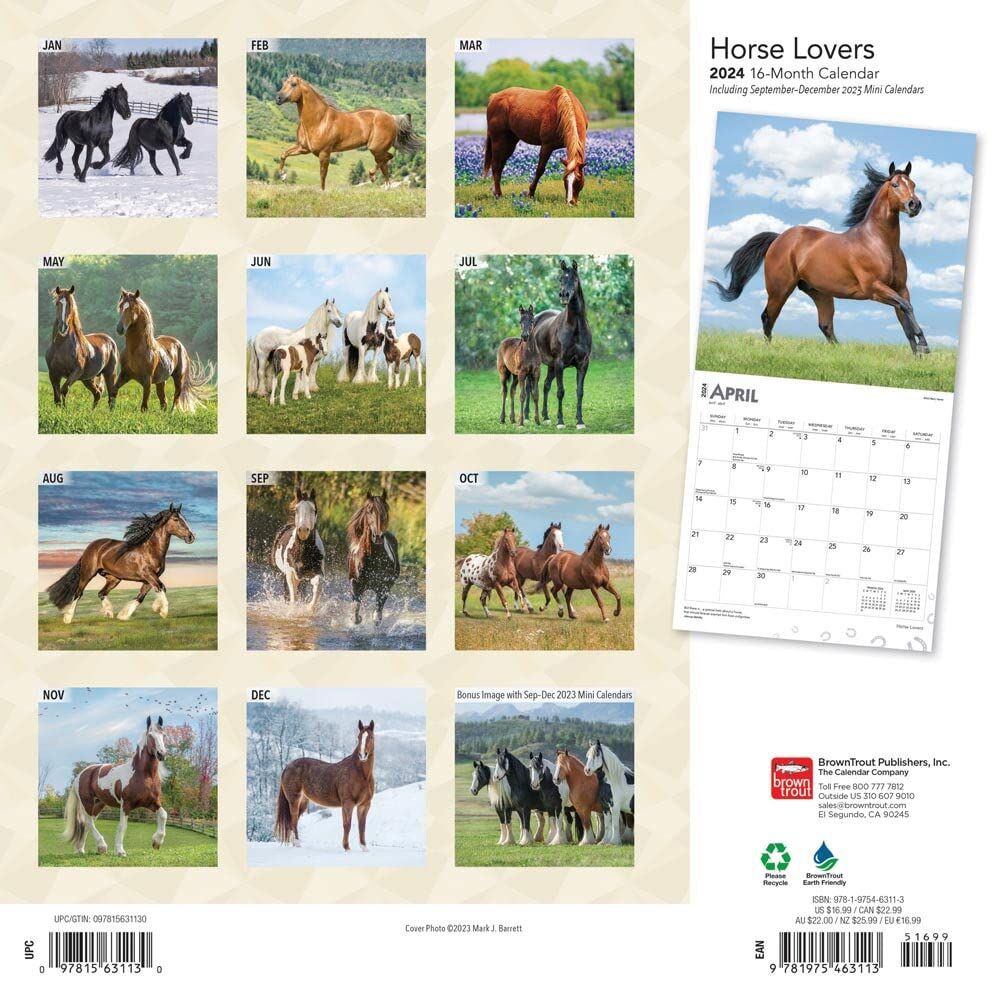 Brown Trout Publisher 2024 Horse Lovers Monthly Square Wall Calendar, 12-In x 24-In