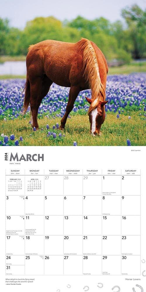 Brown Trout Publisher 2024 Horse Lovers Monthly Square Wall Calendar, 12-In x 24-In