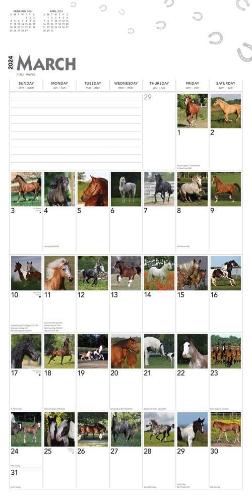 Brown Trout Publisher 2024 366 Days of Horses Monthly Square Wall Calendar, 12-In x 24-In