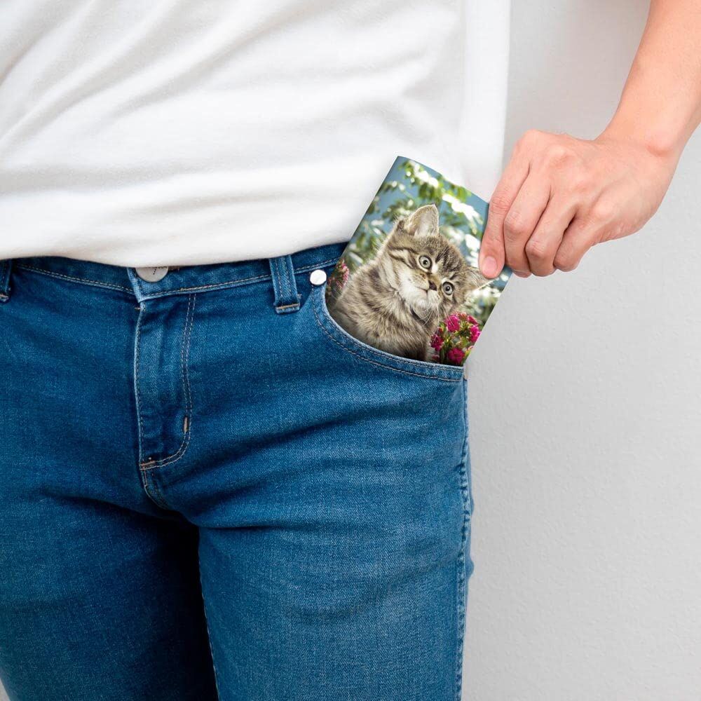 Brown Trout Publisher 2024-2025 Kitten Cuddles Monthly Pocket Planner Calendar, 3.5-In x 6.5-In