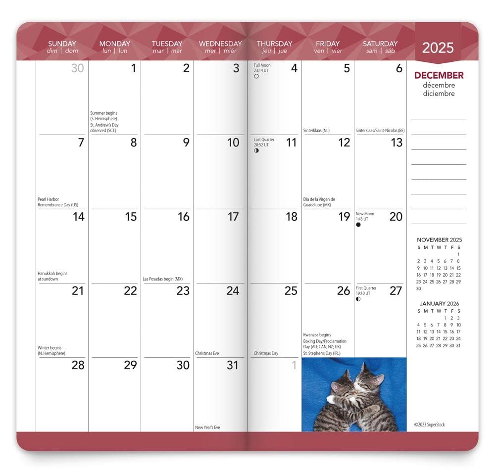 Brown Trout Publisher 2024-2025 Kitten Cuddles Monthly Pocket Planner Calendar, 3.5-In x 6.5-In