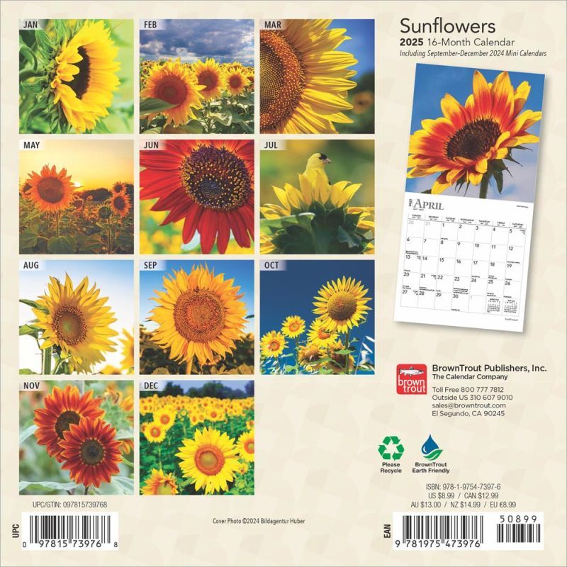 Brown Trout Publisher 2025 Sunflowers Monthly Mini Wall Calendar, 7-In x 14-In