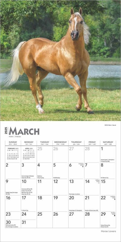 Brown Trout Publisher 2025 Horse Lovers Monthly Mini Wall Calendar, 7-In x 14-In
