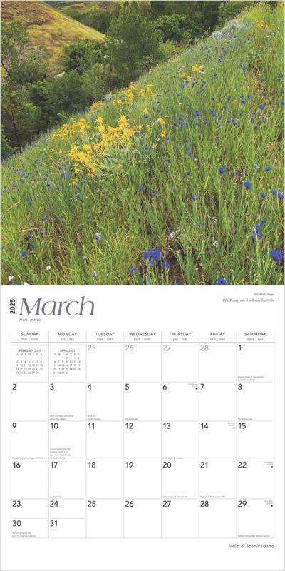 Brown Trout Publisher 2025 Idaho Wild & Scenic Monthly Square Wall Calendar, 12-In x 24-In