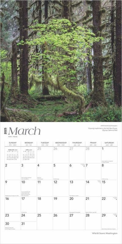 Brown Trout Publisher 2025 Washington Wild & Scenic Square Wall Calendar, 12-In x 24-In