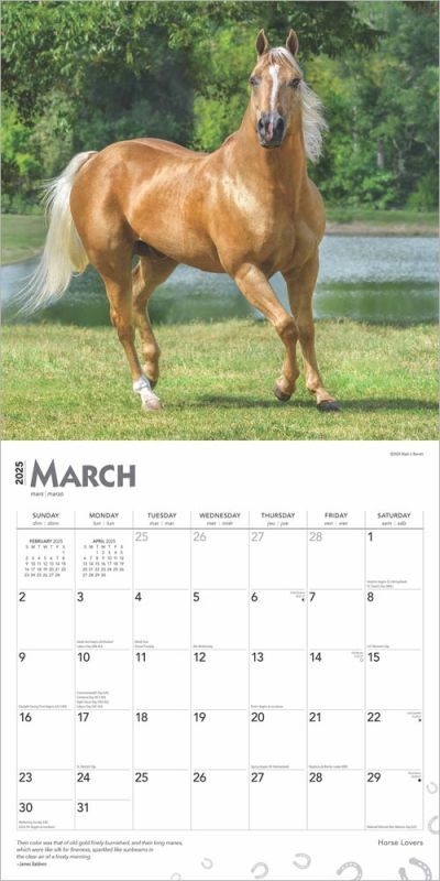 Brown Trout Publisher 2025 Horse Lovers Monthly Square Calendar, 12-In x 24-In