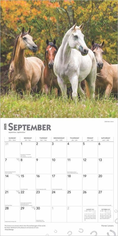Brown Trout Publisher 2025 Horse Lovers Monthly Square Calendar, 12-In x 24-In