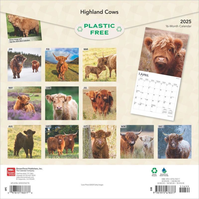 Brown Trout Publisher 2025 Highland Cows Monthly Square Wall Calendar, 12-In x 24-In