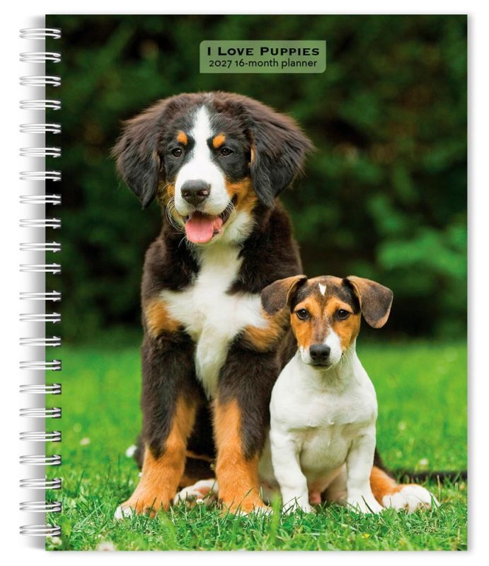 Brown Trout Publishers I Love Puppies 2027 Spiral Bound Planner Calendar, 6 in. x 7.75 in.