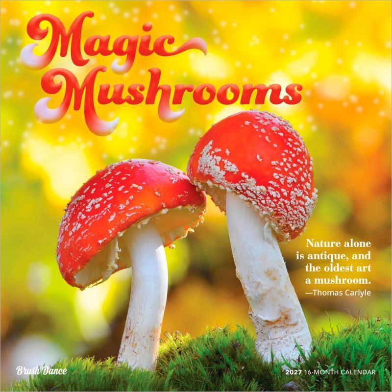 Brown Trout Publishers Magic Mushrooms 2027 Monthly Square Wall Calendar, 12 in. x 24 in.