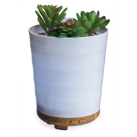 Candle Warmers Potted Succulent Medium Ultra Sonic Diffuser