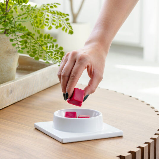 Candle Warmers Gingerbread House Canopy Fragrance Warmer