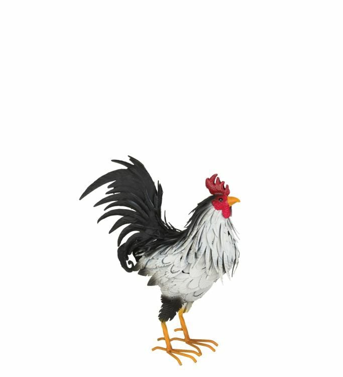 Regal Art & Gift Sussex Rooster Decor - 15 in