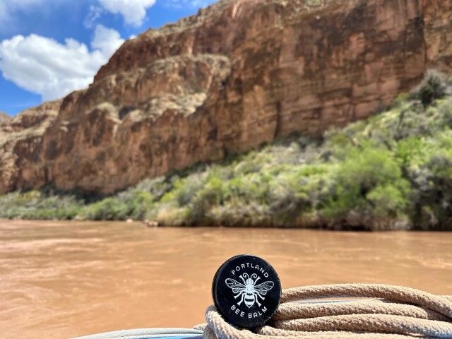 Portland Bee Balm Simple Salve Skin And Hand Balm