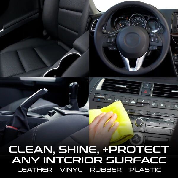 Formula1 Unscented Vehicle Protectant, 10-Oz