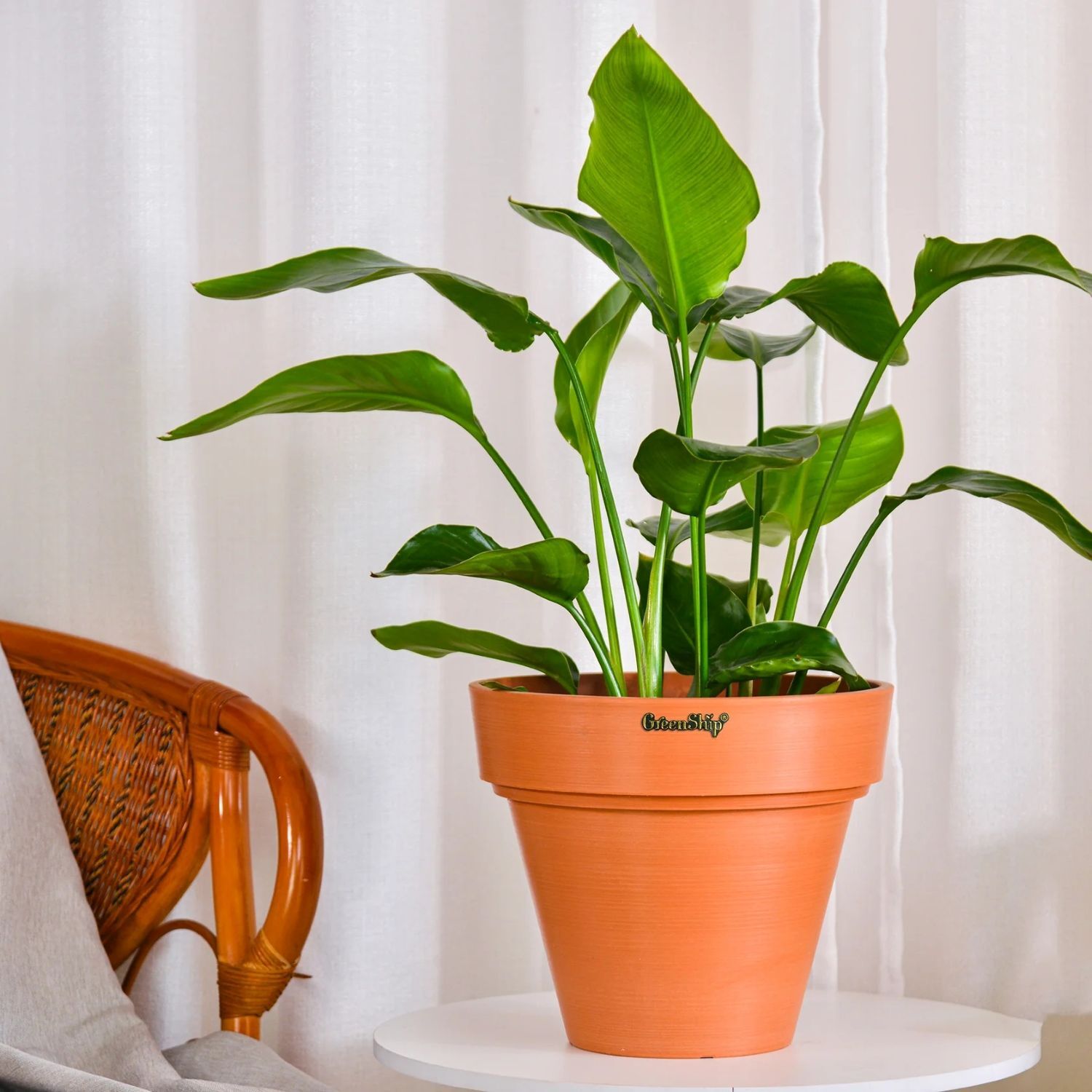 GreenShip Planter with Drainage Hole Terracotta Plant Pot, 12-In, 2-Pk