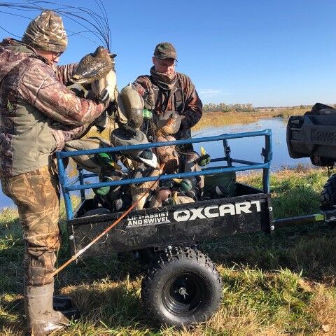 Territory 1750-Lb Mesh-Free ATV Lift-Assist & Swivel Utility Dump Trailer, 25-Cu Ft