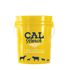 CAL Ranch Yellow 5 Gallon Bucket