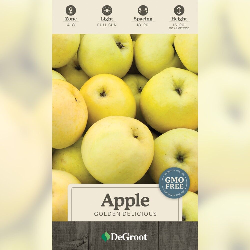 DeGroot Apple Tree, Golden Delicious