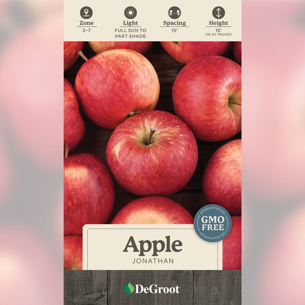 Apple - 小龍 DeGroot Apple Tree, Jonathan - Seed Starting | DeGroot