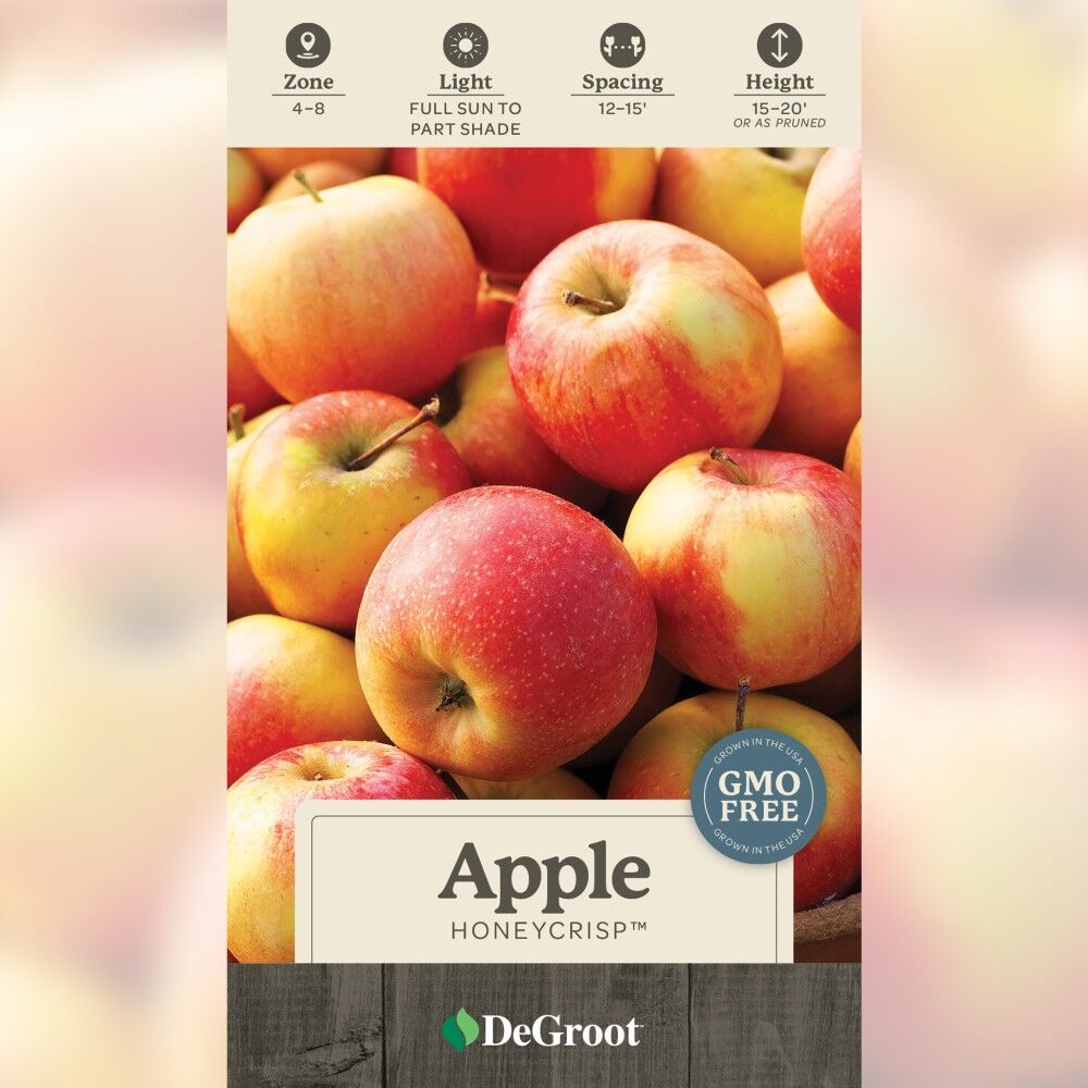 DeGroot Apple Tree, Honeycrisp