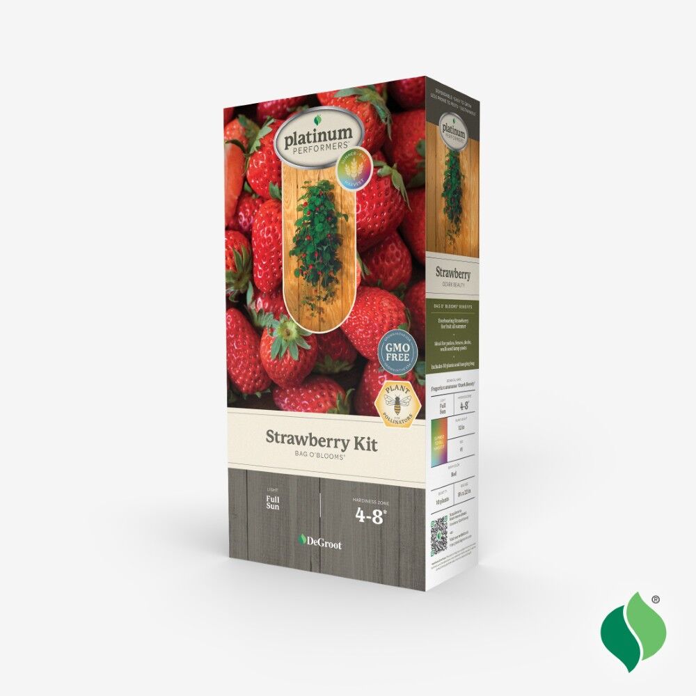DeGroot Strawberry, Bag O' Blooms