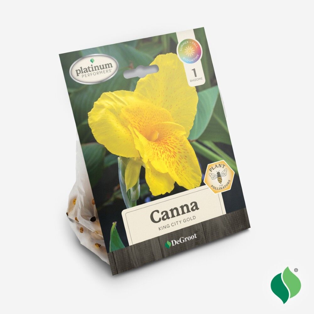 DeGroot Canna, King City Gold