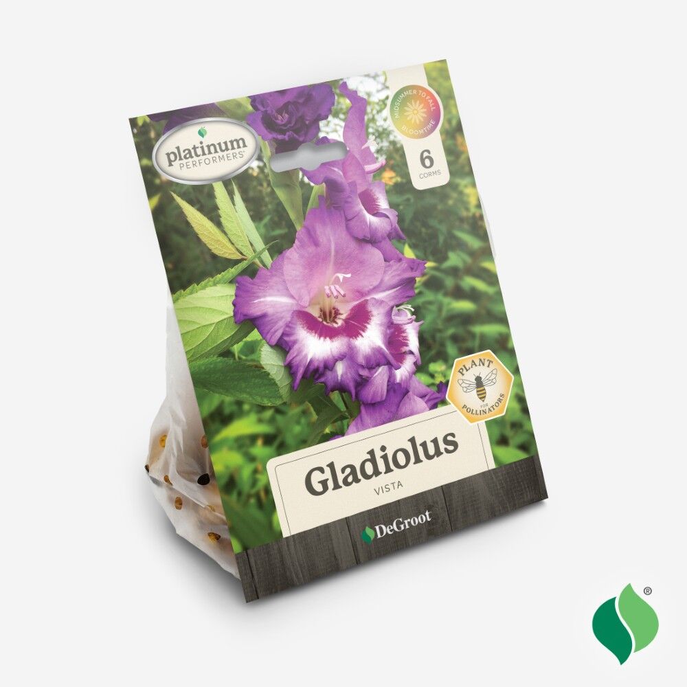 DeGroot Gladiolus, Vista