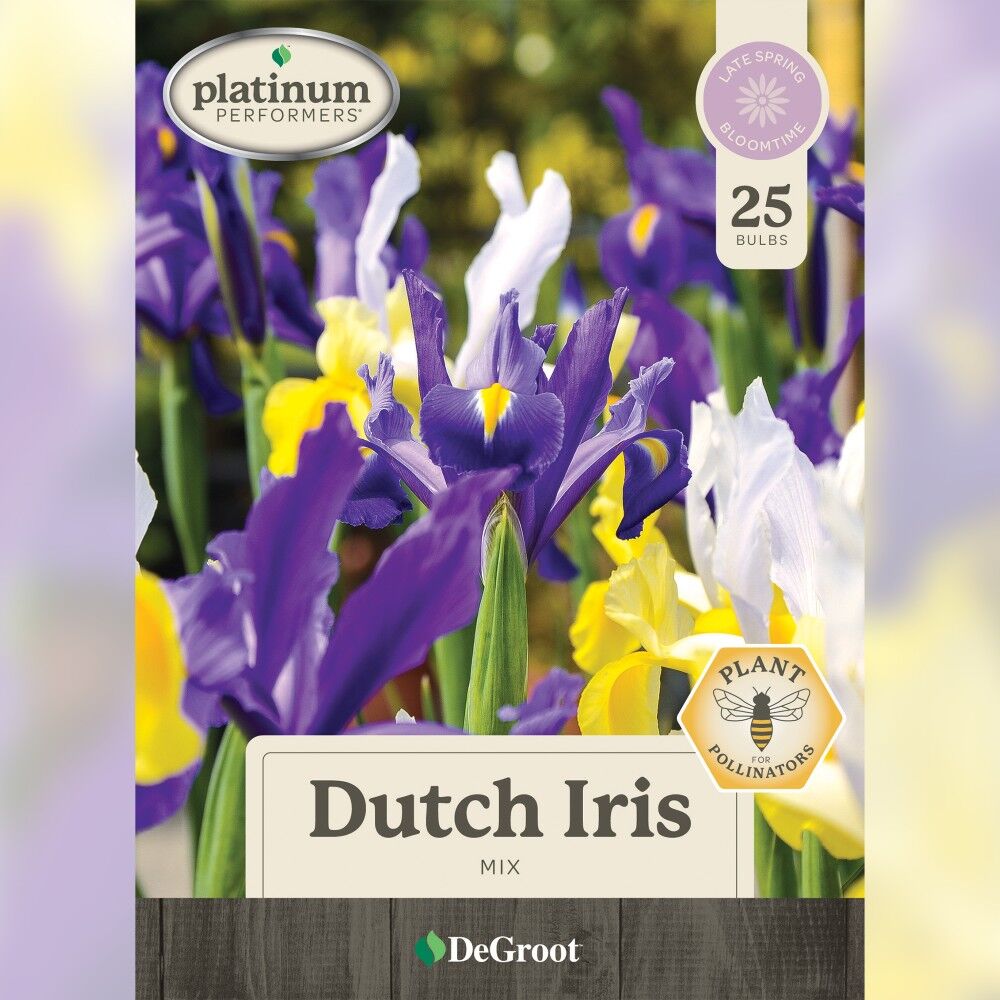 DeGroot Dutch Iris, Mix