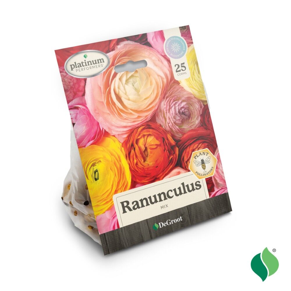 DeGroot Ranunculus, Mix