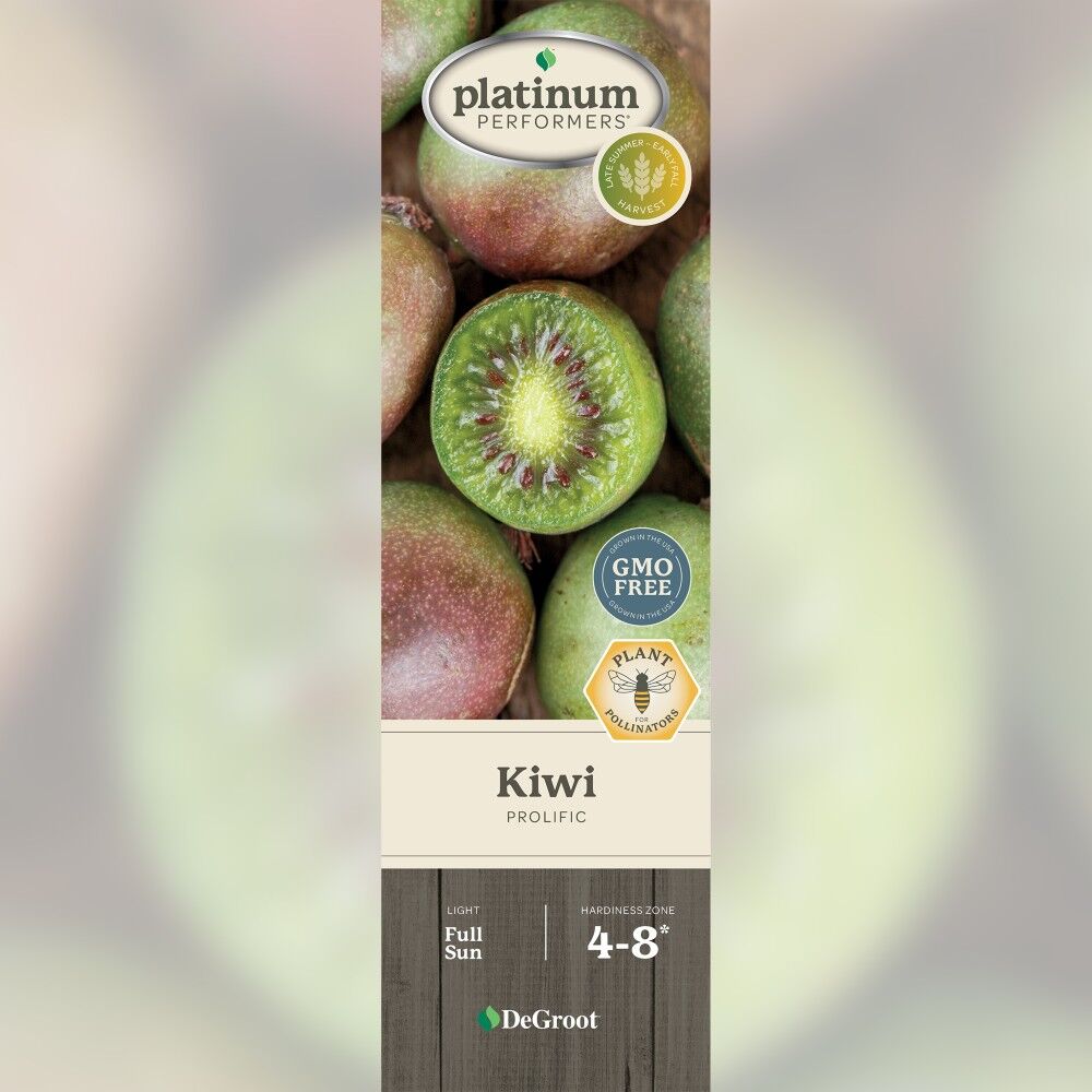 DeGroot Kiwi, Prolific