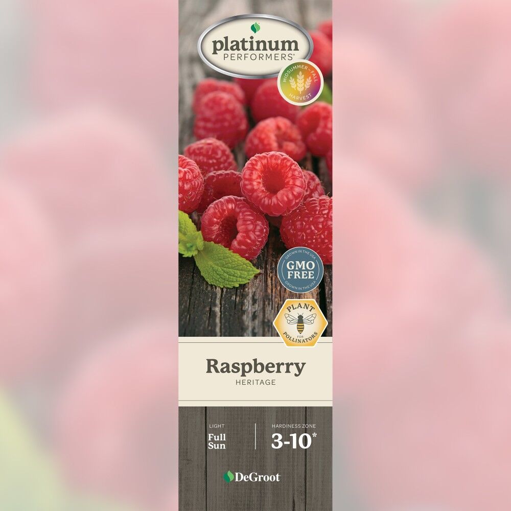 DeGroot Raspberry, Heritage