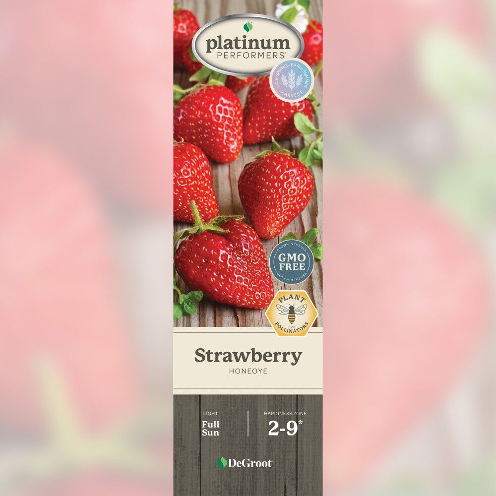 DeGroot Strawberry, Honeoye