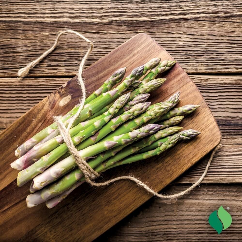 DeGroot Asparagus, Jersey Giant