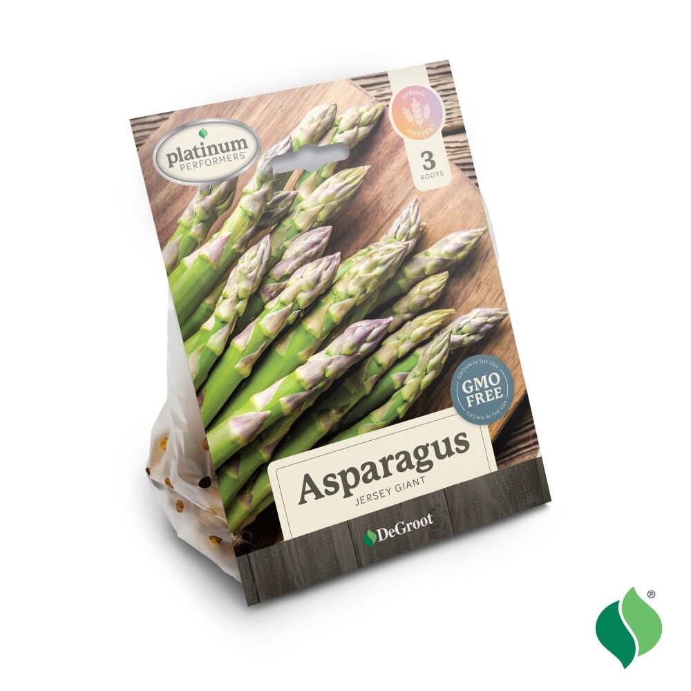 DeGroot Asparagus, Jersey Giant