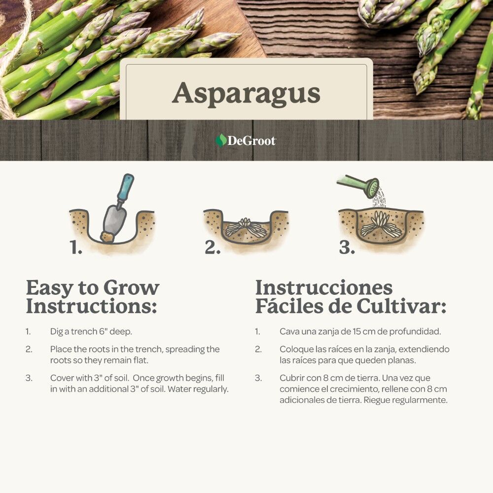 DeGroot Asparagus, Mary Washington