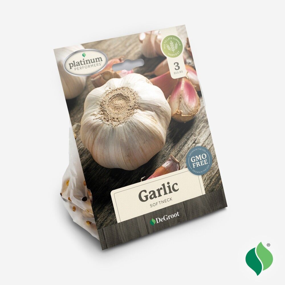 DeGroot Garlic Bulbs Softneck