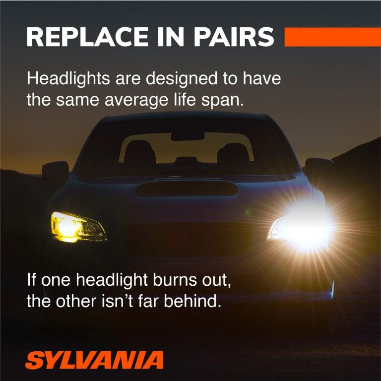 Sylvania 9145 Basic Halogen Fog Bulb