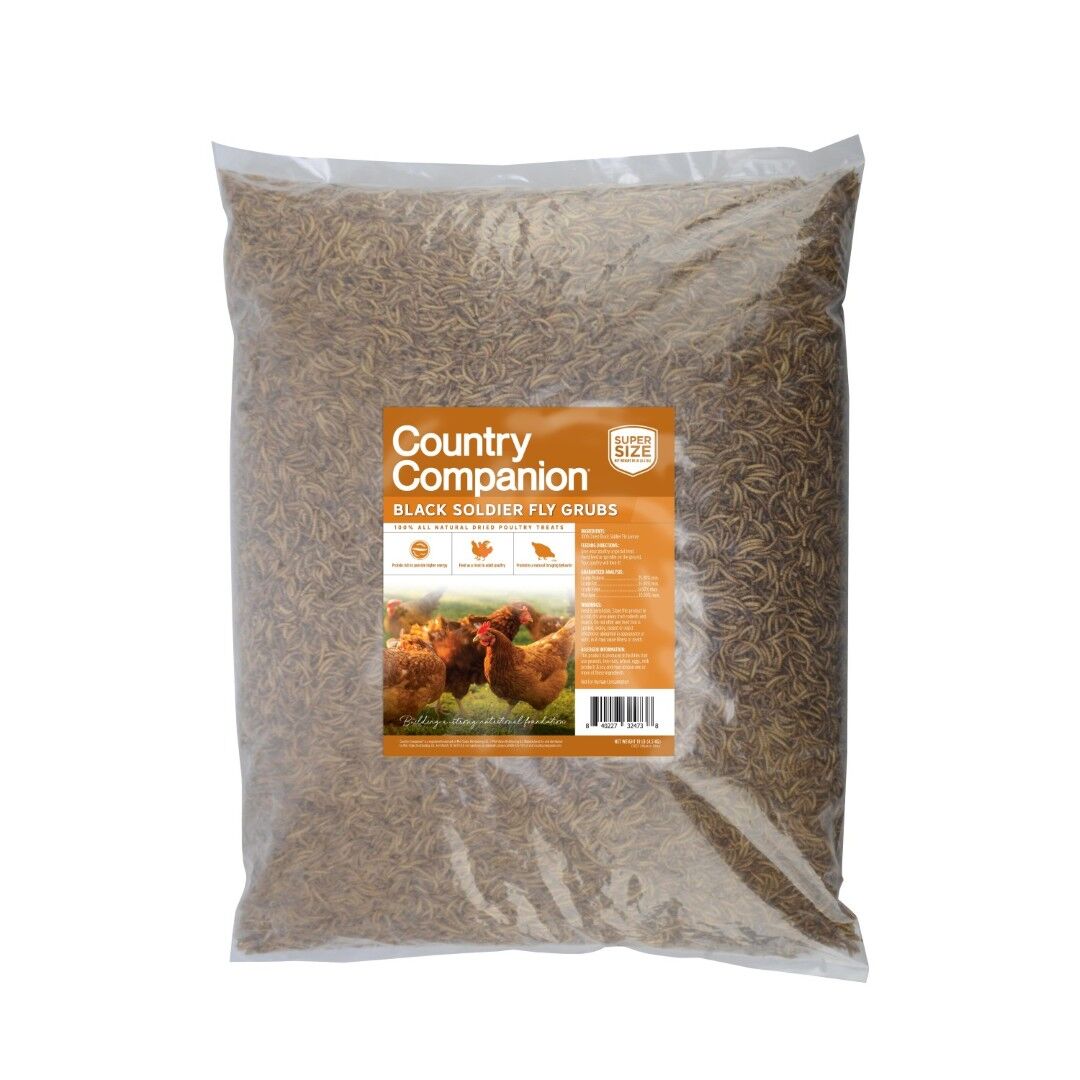 Country Companion Black Soldier Fly Grubs Poultry Treats, 10 lb.