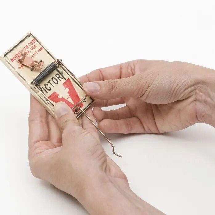 Victor Traps Metal Mouse Trap - 06 oz