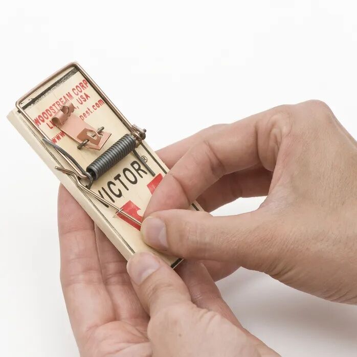 Victor Traps Metal Mouse Trap - 06 oz