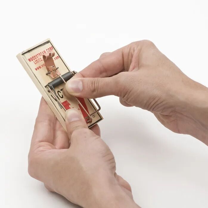 Victor Metal Petal Mouse Trap, 2-Pk