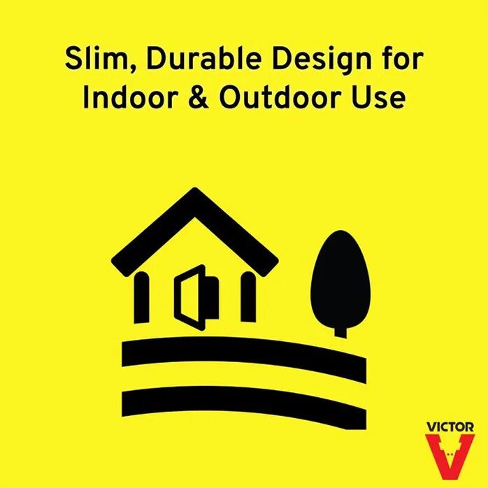 Victor Tin Cat Mouse Trap with Window